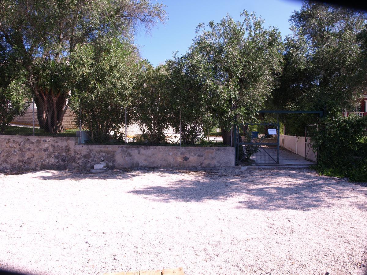Saint Nicholas Beach Resort ذيسْخا المظهر الخارجي الصورة